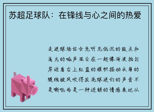 苏超足球队：在锋线与心之间的热爱